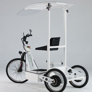 Electric Tricycles SB-100