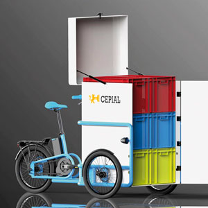 Electric Tricycles SBA-50PR